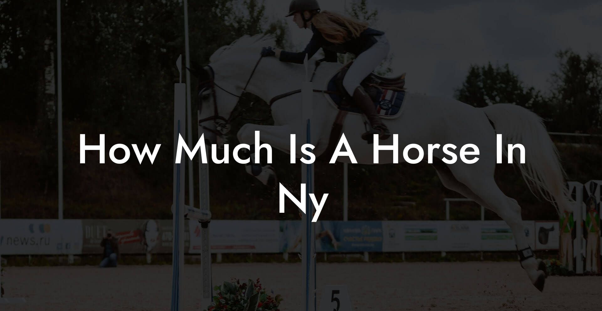 How Much Is A Horse In Ny