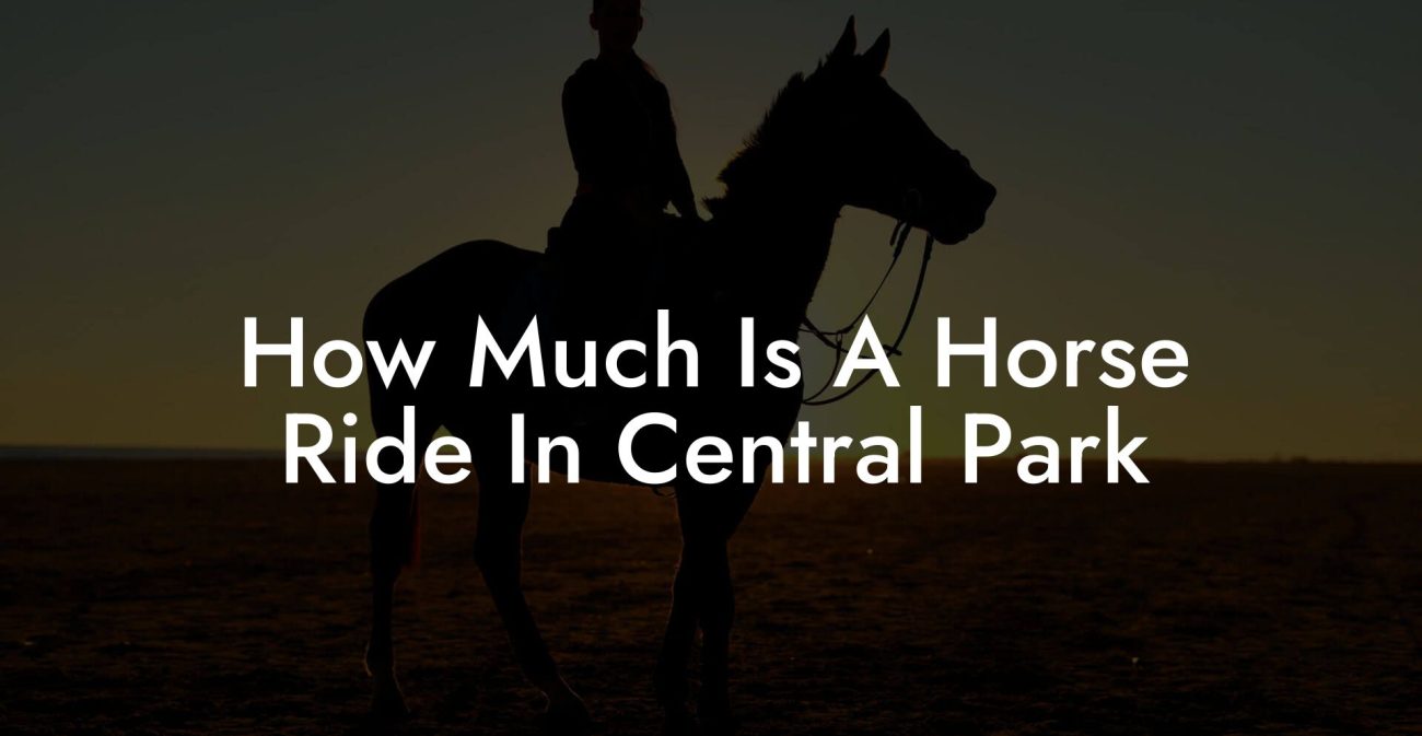 How Much Is A Horse Ride In Central Park