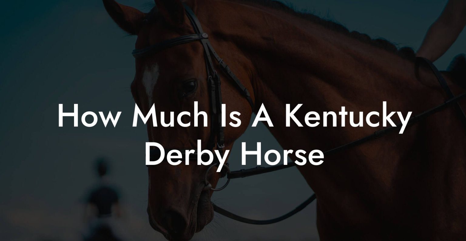 How Much Is A Kentucky Derby Horse How To Own a Horse