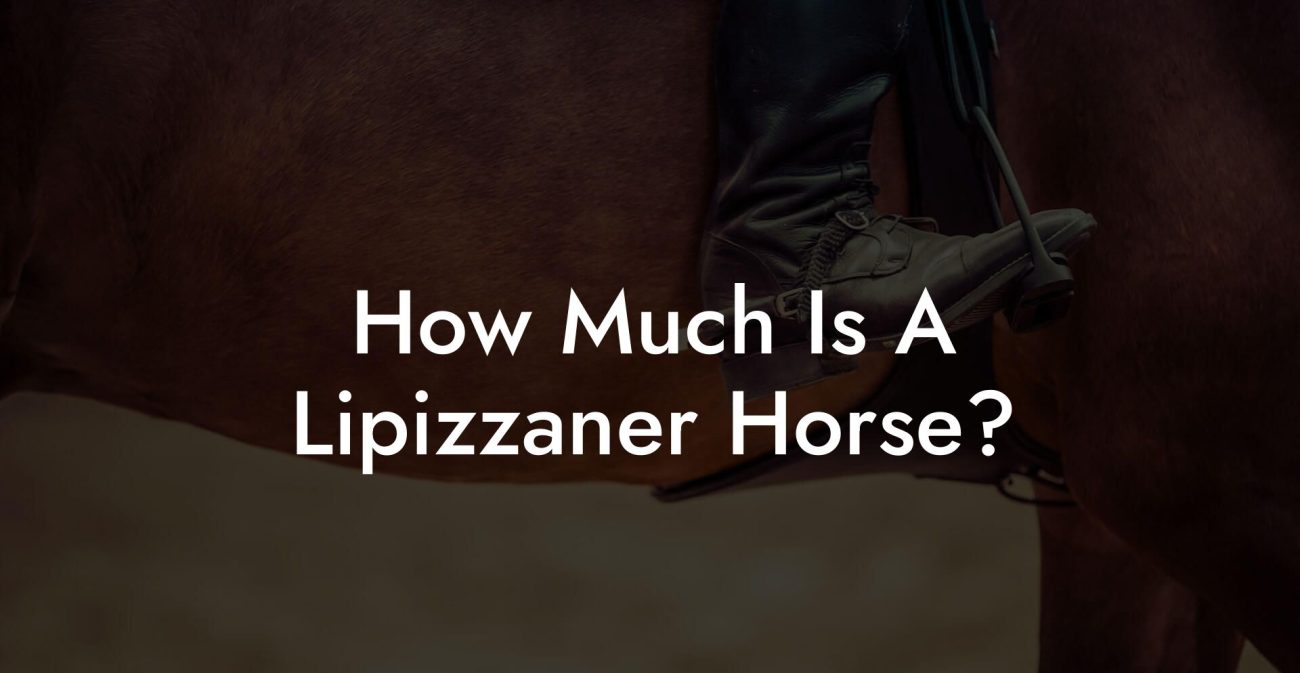 How Much Is A Lipizzaner Horse?