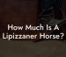 How Much Is A Lipizzaner Horse?