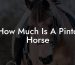 How Much Is A Pinto Horse