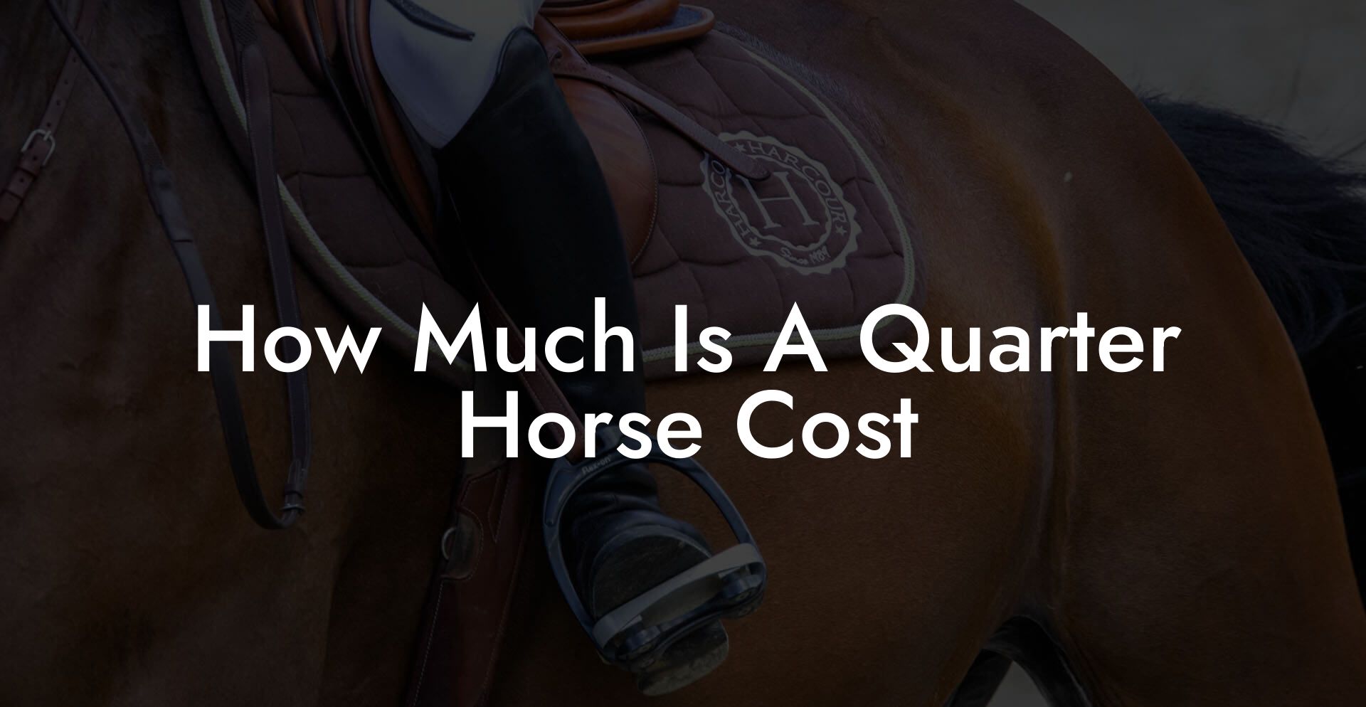 How Much Is A Quarter Horse Cost