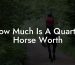 How Much Is A Quarter Horse Worth