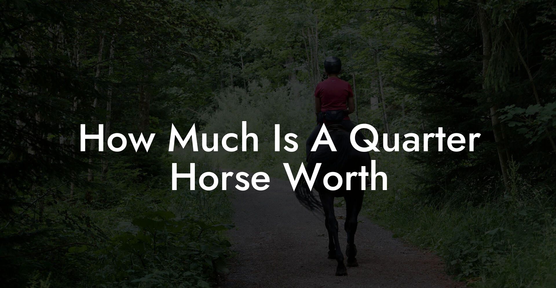 How Much Is A Quarter Horse Worth