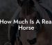 How Much Is A Real Horse