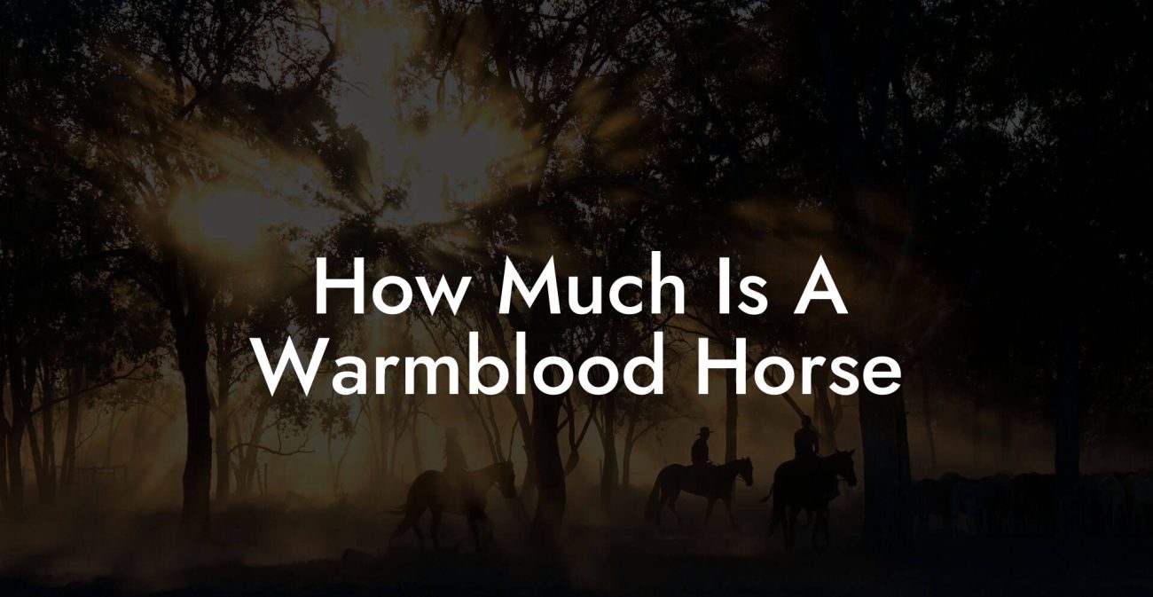 How Much Is A Warmblood Horse