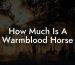 How Much Is A Warmblood Horse