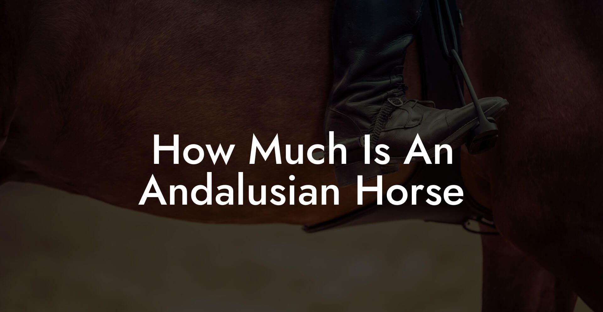 How Much Is An Andalusian Horse