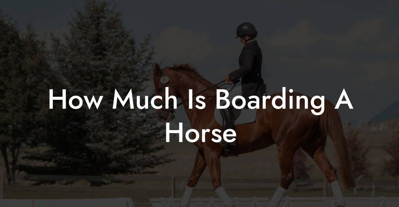 How Much Is Boarding A Horse