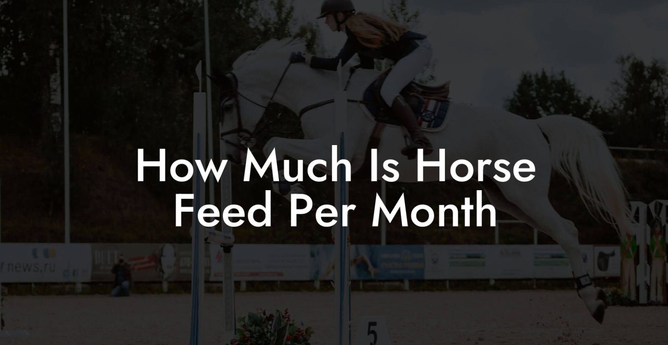 How Much Is Horse Feed Per Month