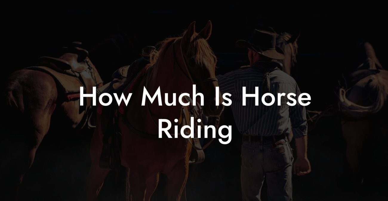 How Much Is Horse Riding