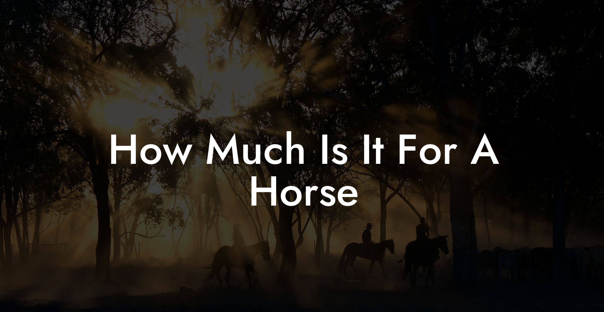 How Much Is It For A Horse