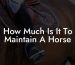 How Much Is It To Maintain A Horse