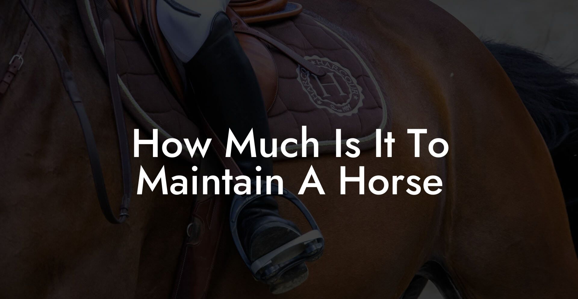 How Much Is It To Maintain A Horse