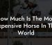 How Much Is The Most Expensive Horse In The World