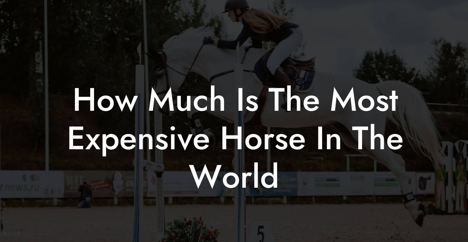 How Much Is The Most Expensive Horse In The World
