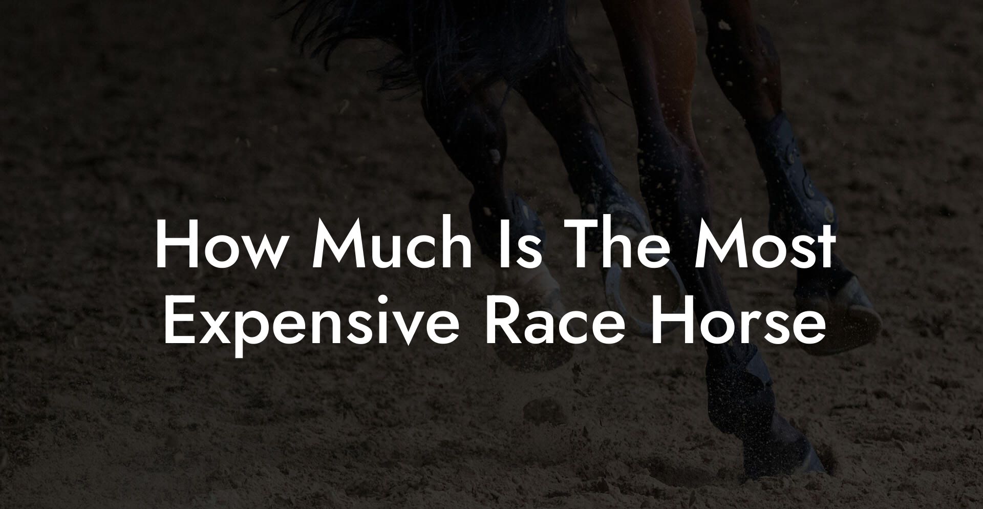 How Much Is The Most Expensive Race Horse