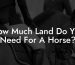How Much Land Do You Need For A Horse?