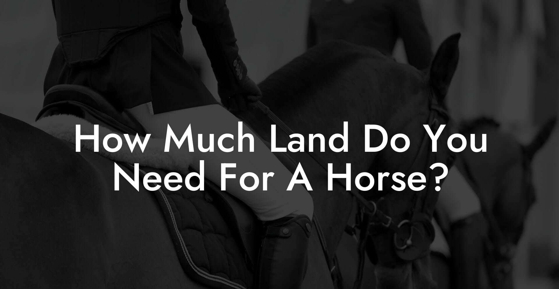 How Much Land Do You Need For A Horse?