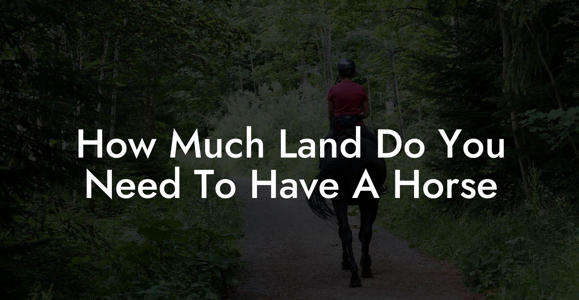 How Much Land Do You Need To Have A Horse How To Own a Horse