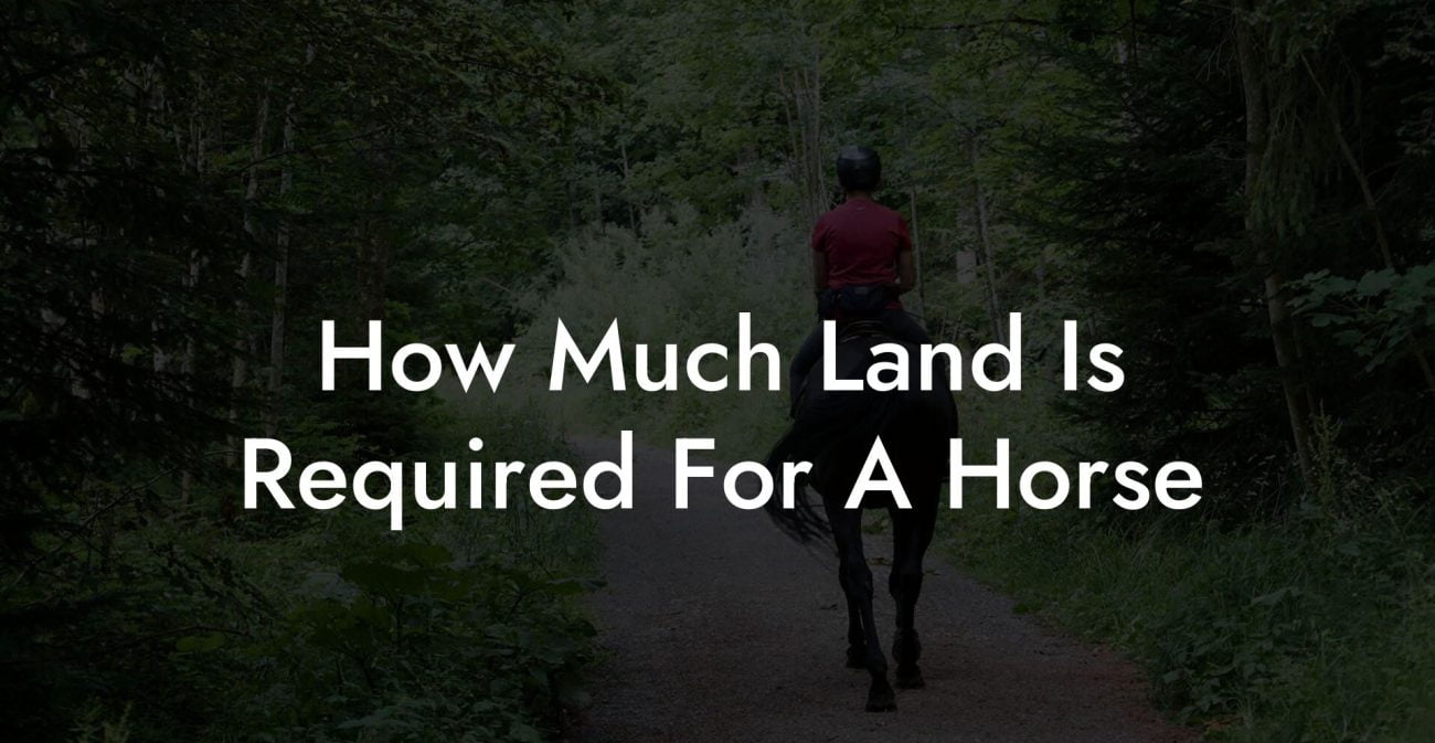 How Much Land Is Required For A Horse