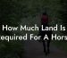 How Much Land Is Required For A Horse