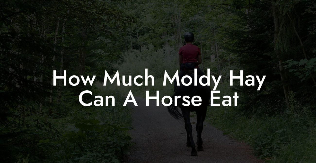 How Much Moldy Hay Can A Horse Eat