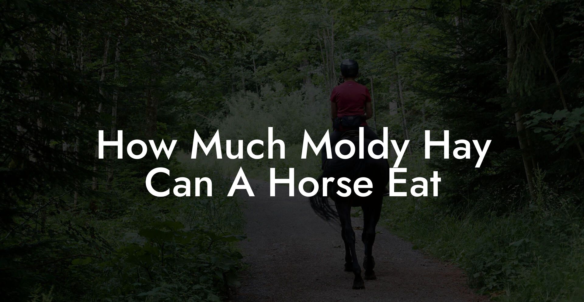 How Much Moldy Hay Can A Horse Eat