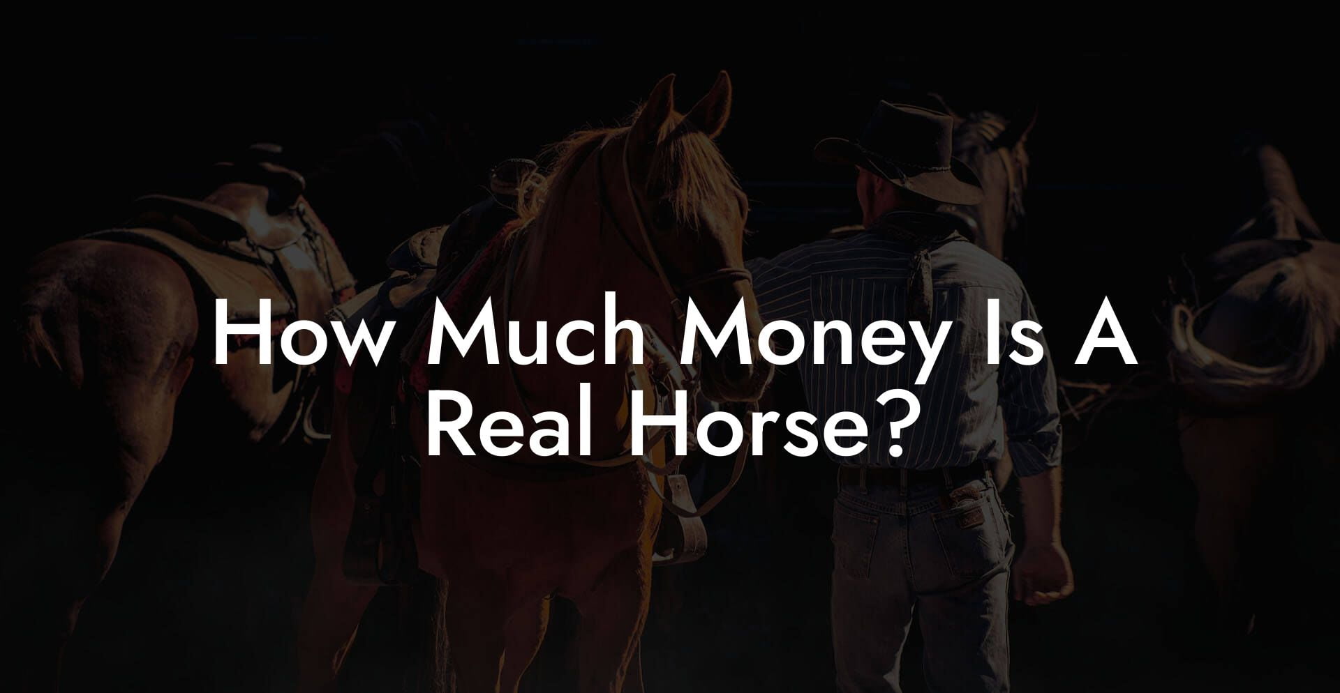 How Much Money Is A Real Horse?