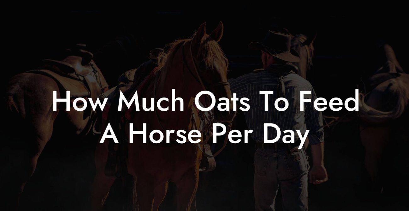 How Much Oats To Feed A Horse Per Day