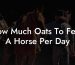 How Much Oats To Feed A Horse Per Day