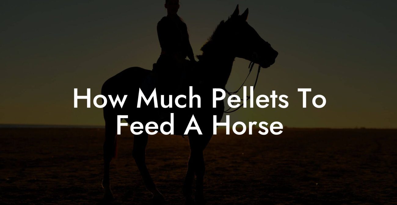 How Much Pellets To Feed A Horse