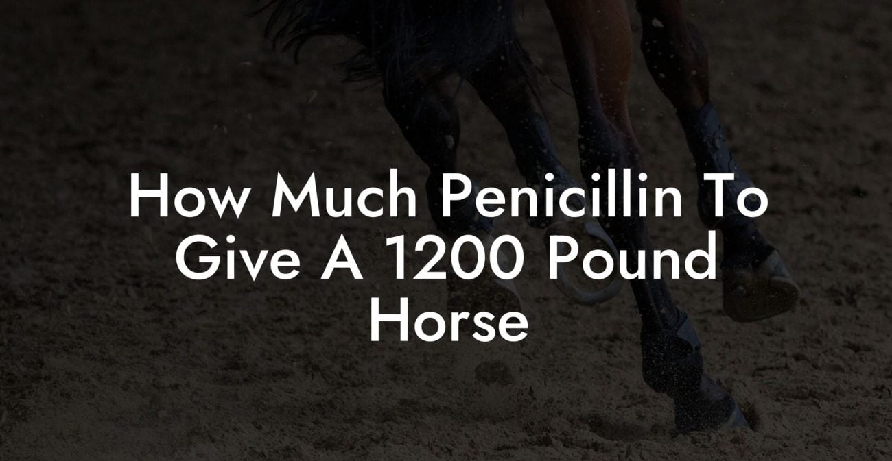 How Much Penicillin To Give A 1200 Pound Horse