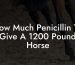How Much Penicillin To Give A 1200 Pound Horse