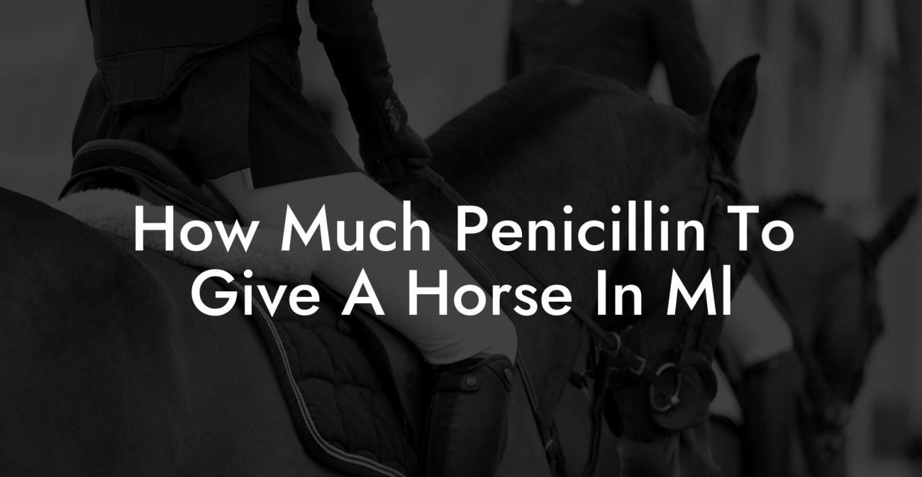 How Much Penicillin To Give A Horse In Ml