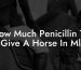 How Much Penicillin To Give A Horse In Ml
