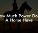 How Much Power Does A Horse Have