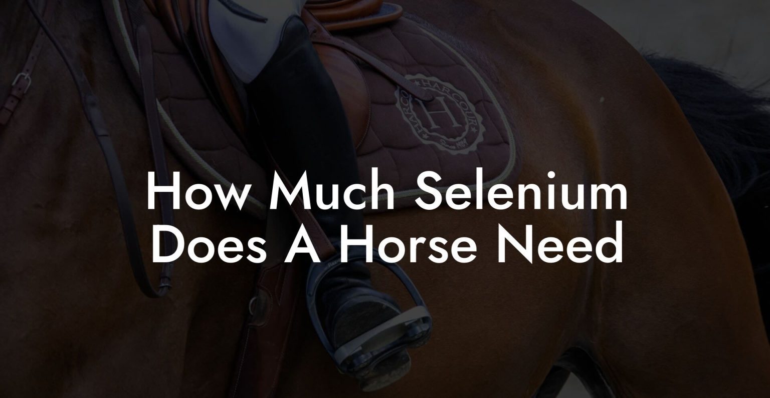 How Much Selenium Does A Horse Need How To Own a Horse