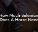 How Much Selenium Does A Horse Need