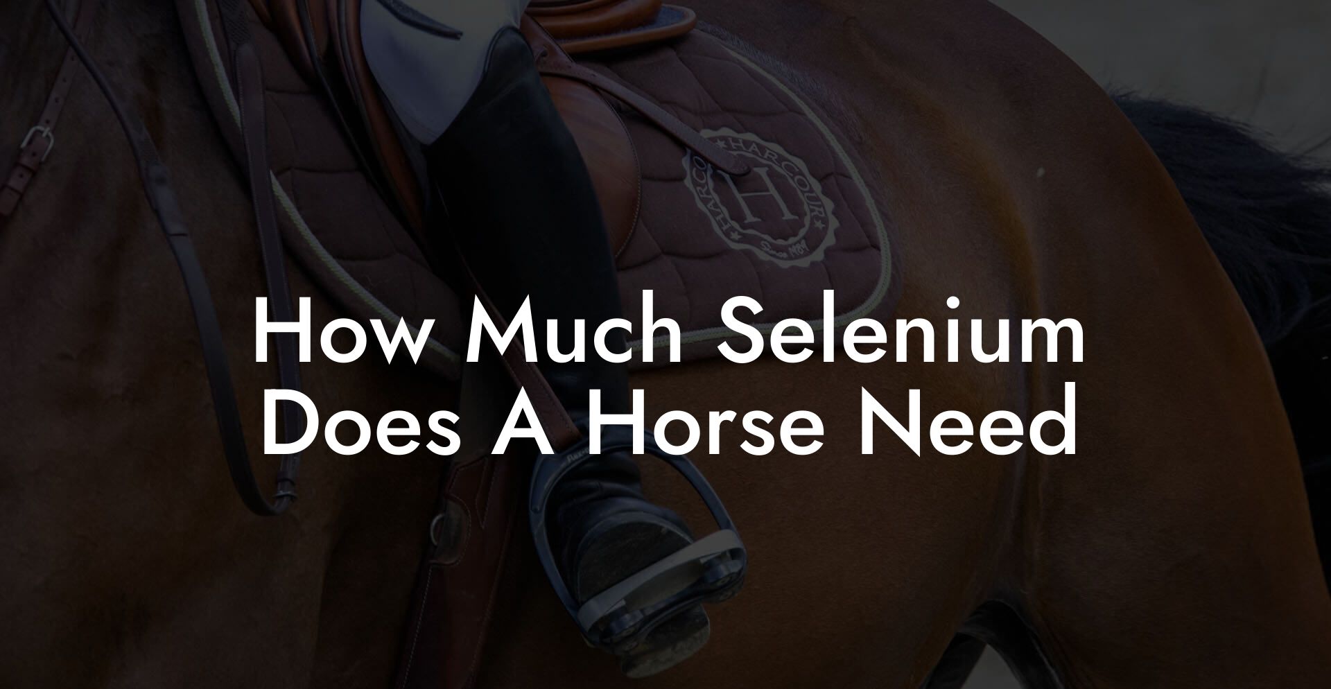 How Much Selenium Does A Horse Need