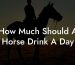 How Much Should A Horse Drink A Day