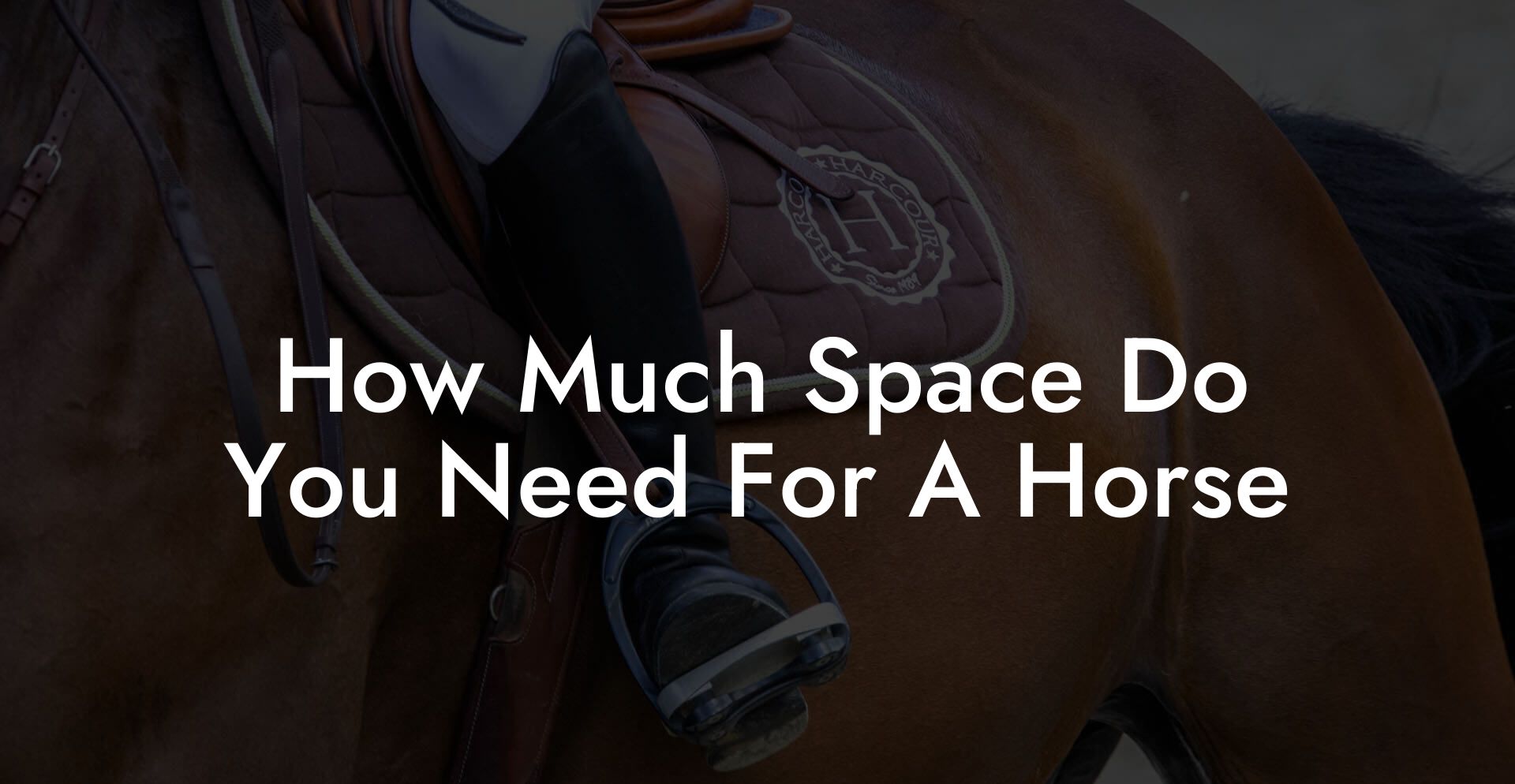 How Much Space Do You Need For A Horse How To Own A Horse