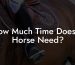How Much Time Does A Horse Need?