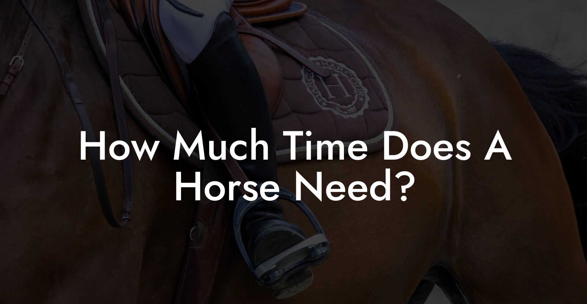 How Much Time Does A Horse Need?