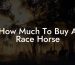 How Much To Buy A Race Horse