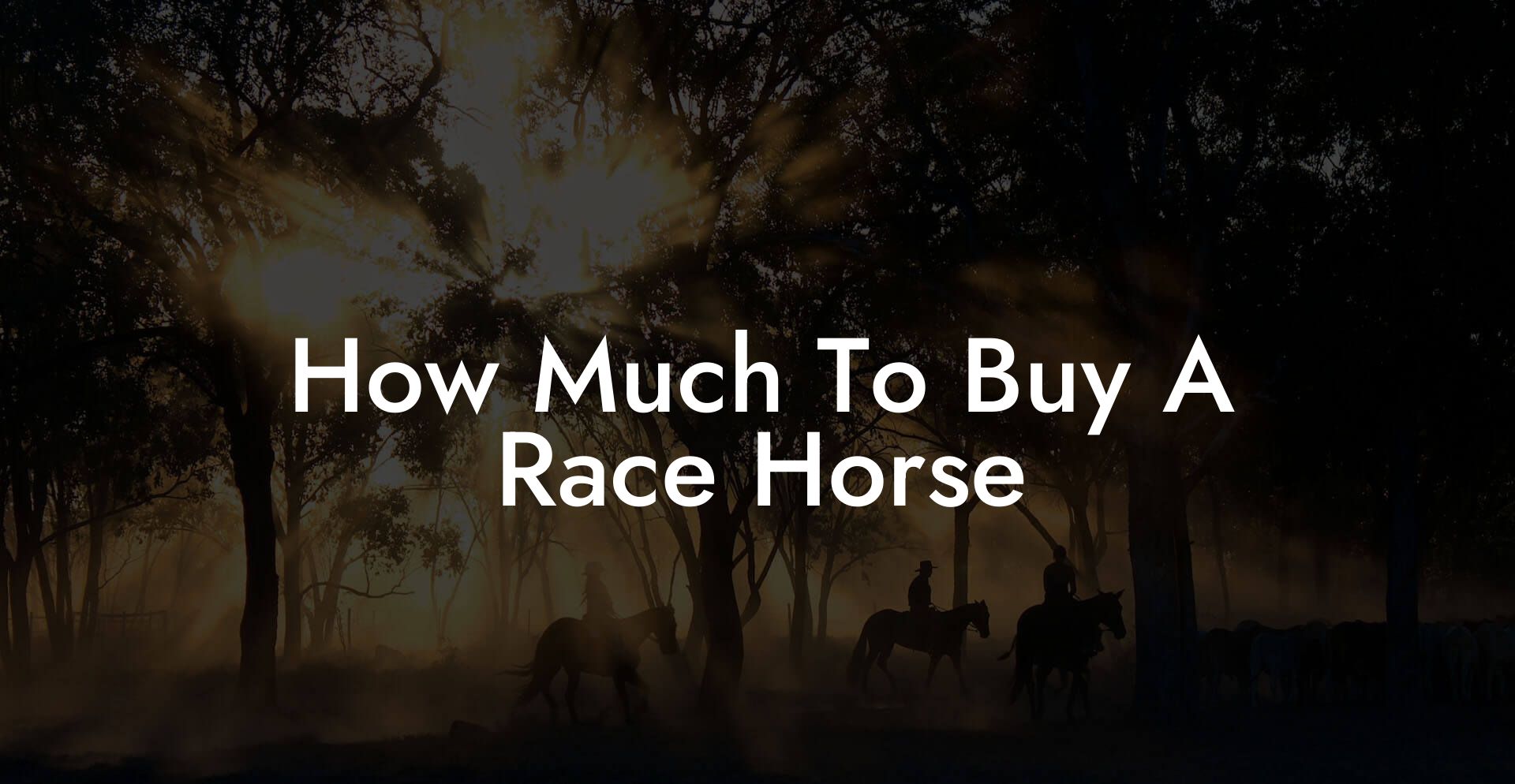 How Much To Buy A Race Horse