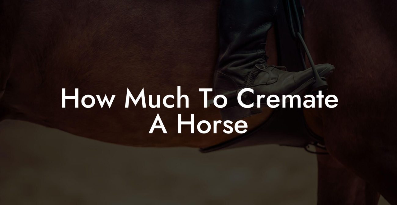 How Much To Cremate A Horse