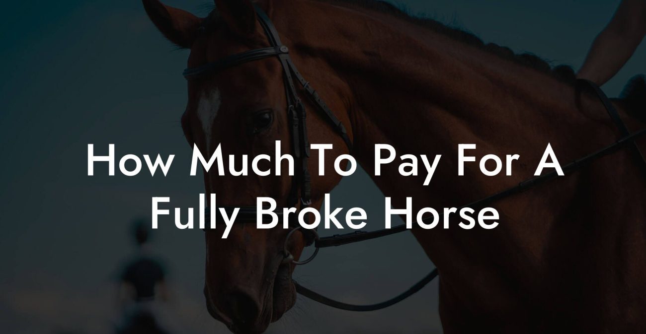 How Much To Pay For A Fully Broke Horse