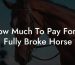 How Much To Pay For A Fully Broke Horse
